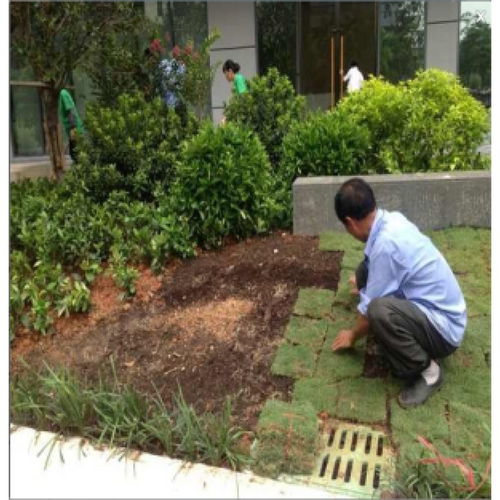 沙溪镇园林绿化工程施工与养护