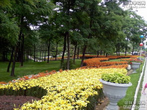 园林绿化工程中的植物搭配策略