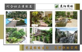 广州市晨阳园林绿化工程产品与服务概览