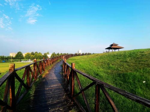 第二批山东省省级考古遗址公园名单公布，济宁两遗址入选助力文化遗产保护